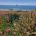 Maravillosa Terraza Con Vistas Al Mar, La Mata * 또레비에하