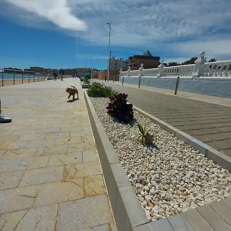 Maravillosa Terraza Con Vistas Al Mar, La Mata Apartment Torrevieja