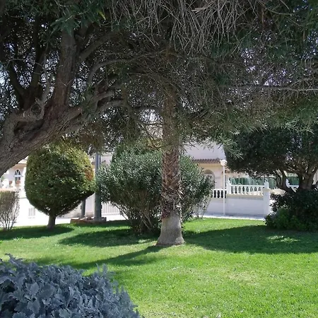 Maravillosa Terraza Con Vistas Al Mar, La Mata Lägenhet *