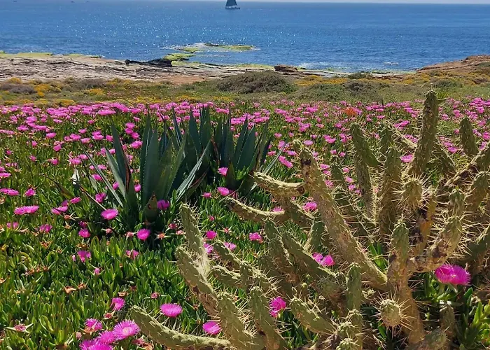 Maravillosa Terraza Con Vistas Al Mar, La Mata * Torrevieja