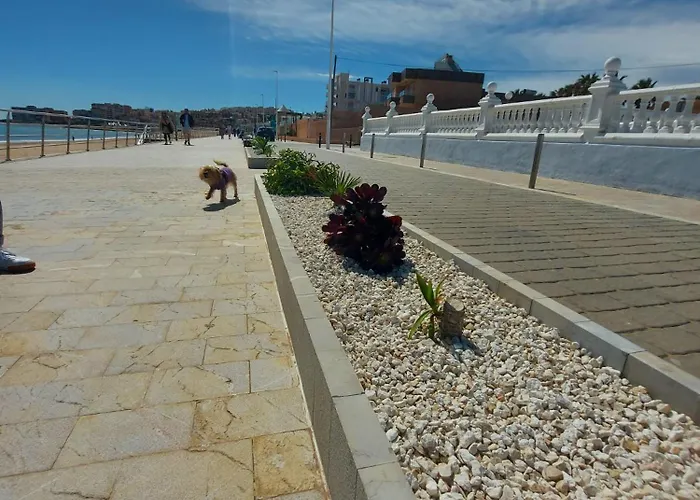Maravillosa Terraza Con Vistas Al Mar, La Mata Lägenhet Torrevieja