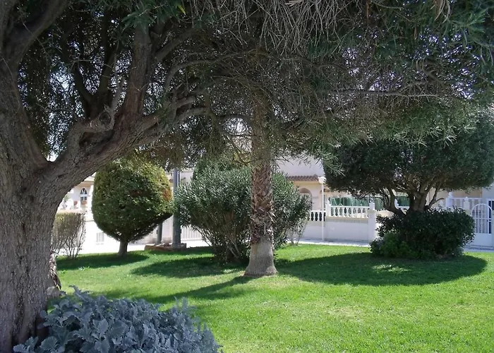 Maravillosa Terraza Con Vistas Al Mar, La Mata Lägenhet *